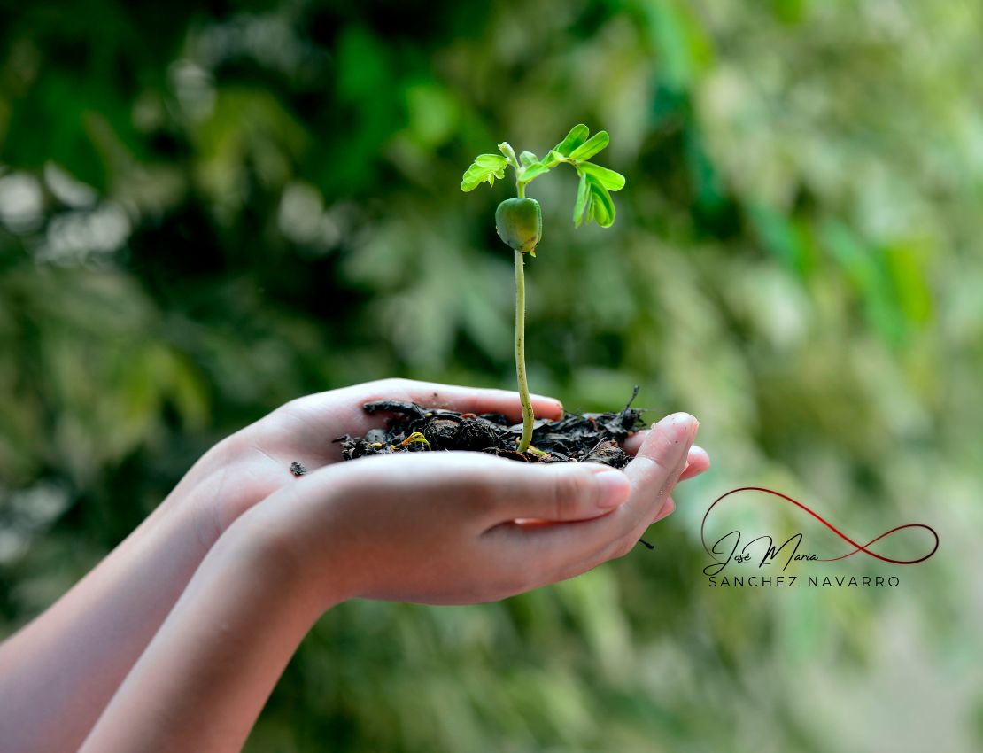 ecologico-y-logico
