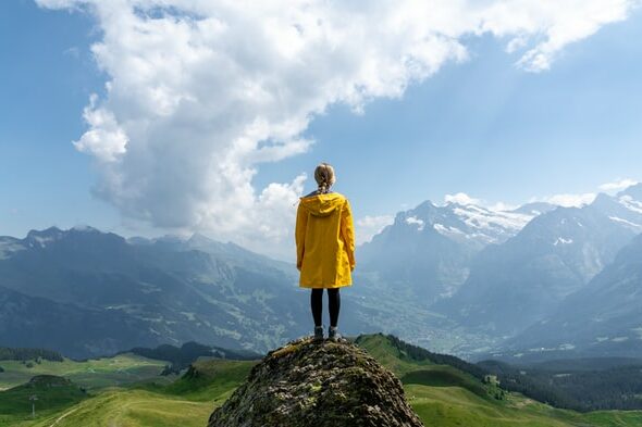 yellow jacket looking at view