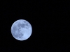 blue-moon-2