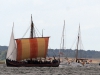 havhingsten-med-foelge