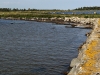Thorhamns udde naturreservat