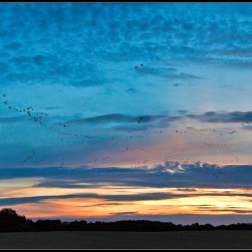 Aftenhimmel