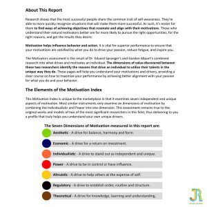 Motivator and DISC test including coaching