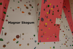 magnar_skogum