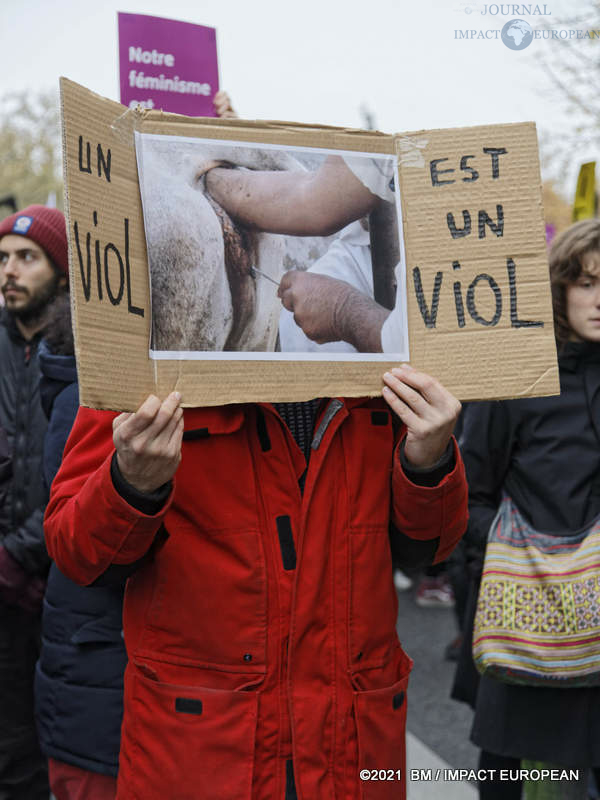 Manif stop violences 59