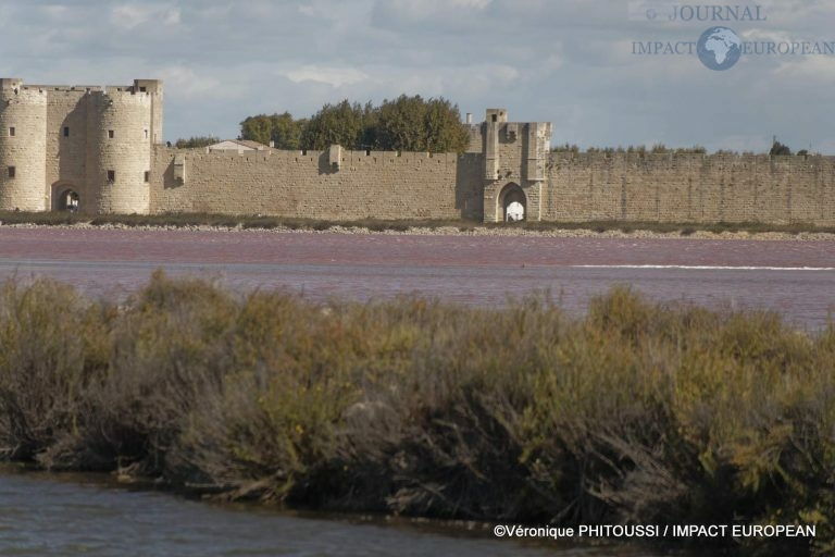 Les Salins de Camargue 13