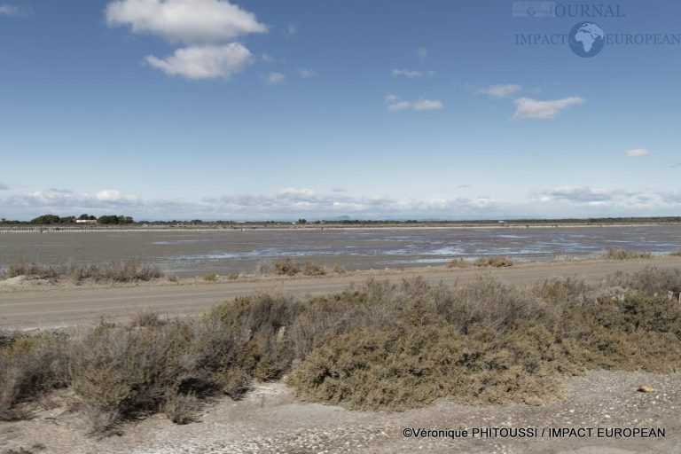 Les Salins de Camargue 2