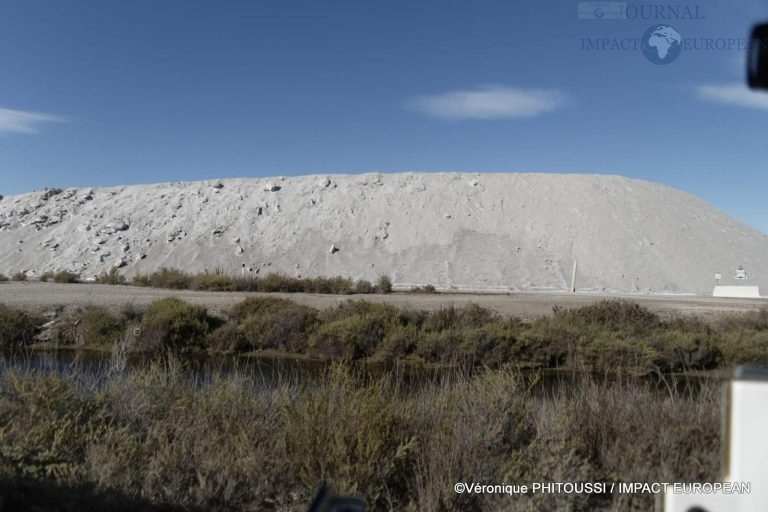 Les Salins de Camargue 22