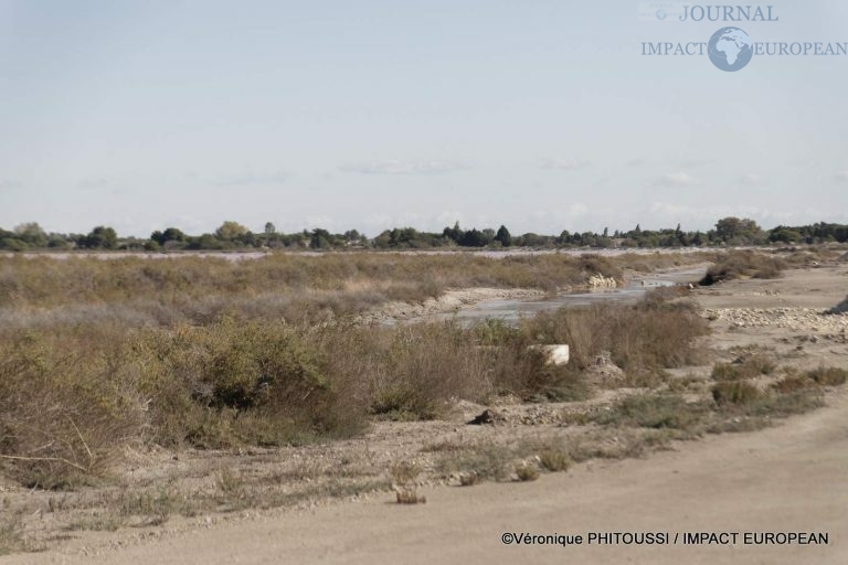 Les Salins de Camargue 23