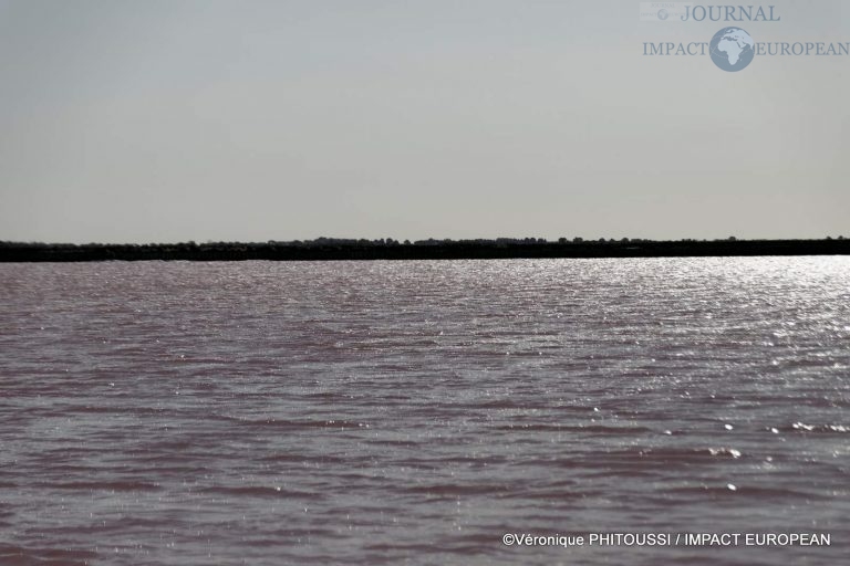 Les Salins de Camargue 25