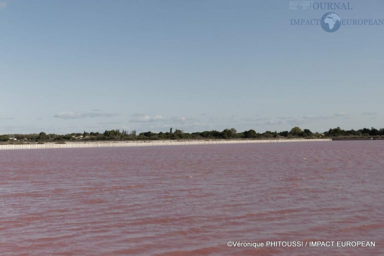 Les Salins de Camargue 26