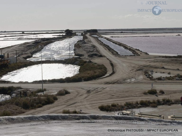 Les Salins de Camargue 30