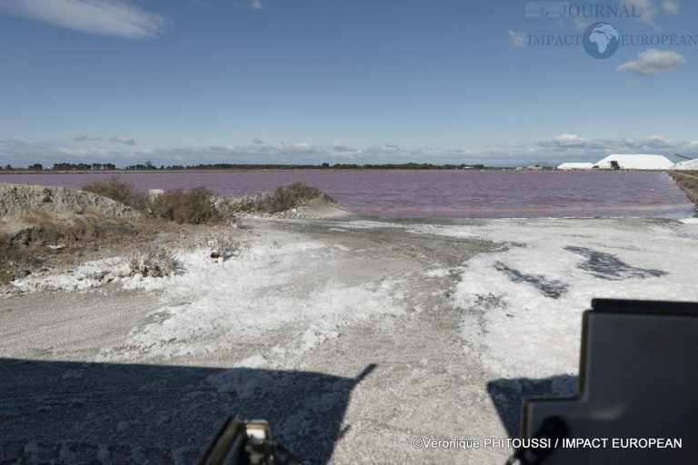 Les Salins de Camargue 32