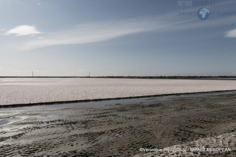 Les Salins de Camargue 33