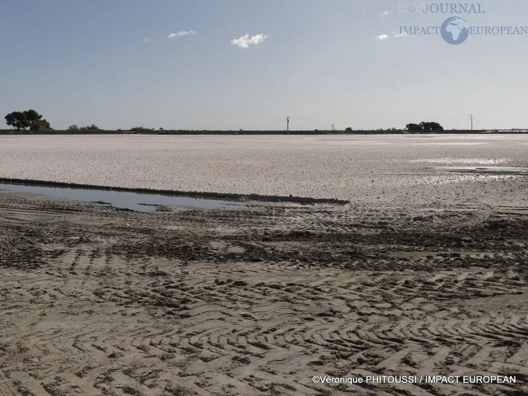 Les Salins de Camargue 34