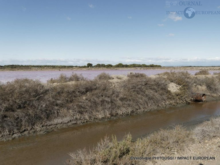 Les Salins de Camargue 37