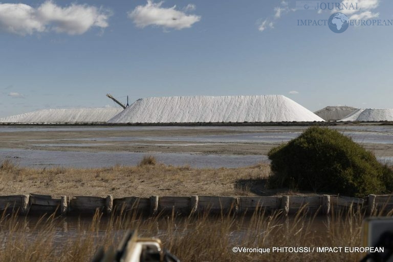 Les Salins de Camargue 41