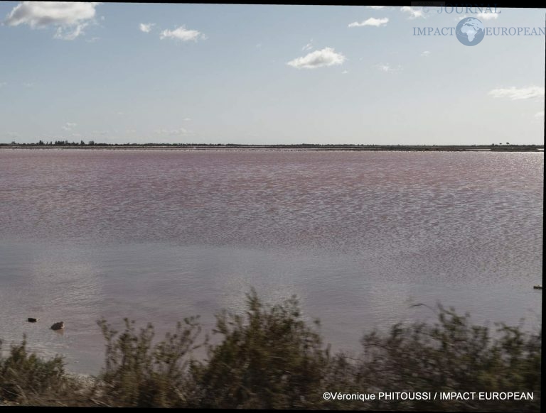 Les Salins de Camargue 9