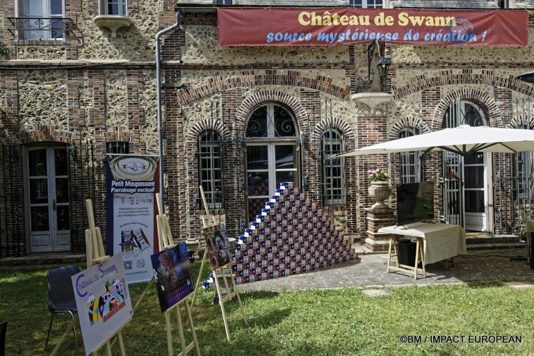 Château de Swann 37