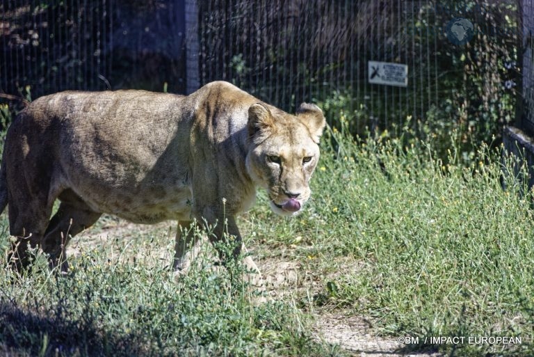 Parc zoologique de Paris 005