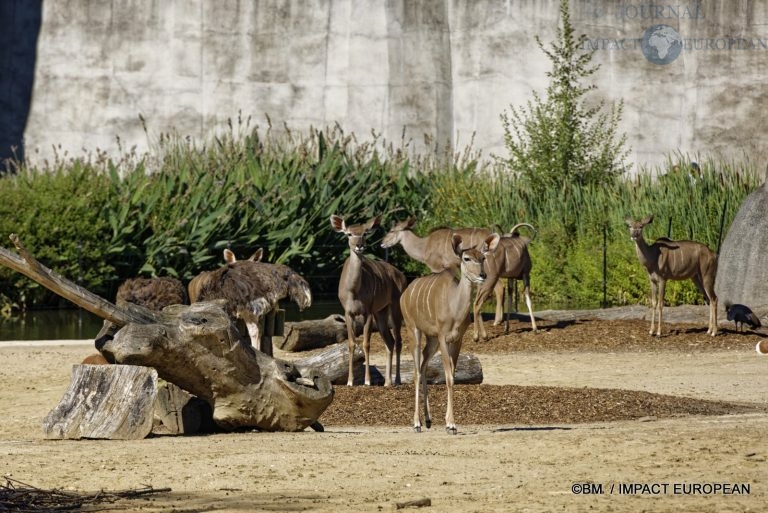 Parc zoologique de Paris 012