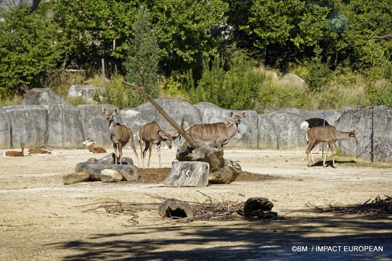 Parc zoologique de Paris 015