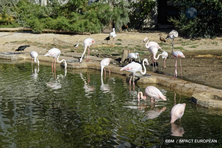 Parc zoologique de Paris 023