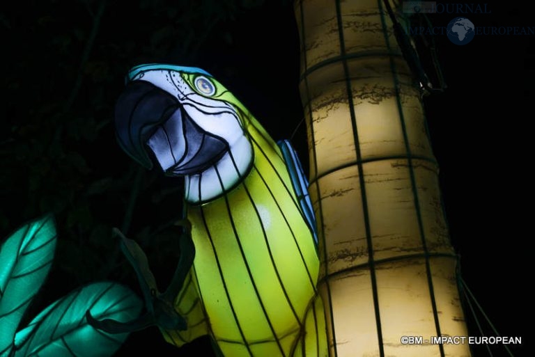 Lanternes Jardin des Plantes 28