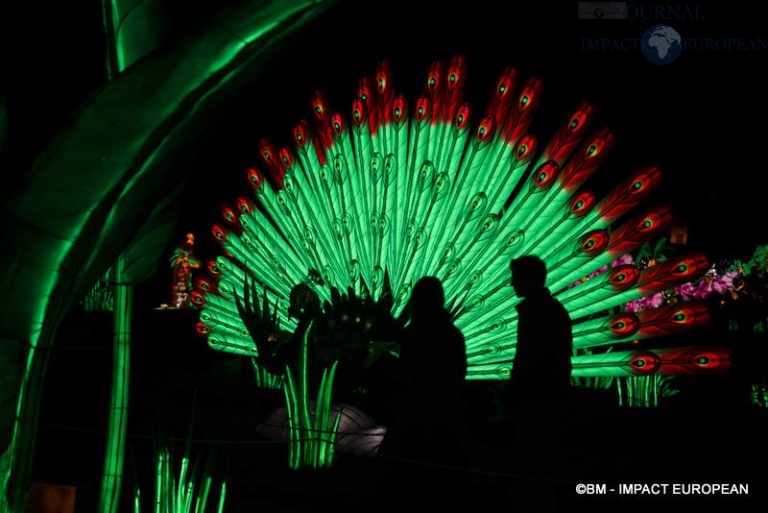 Lanternes Jardin des Plantes 36