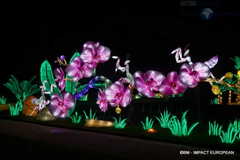 Lanternes Jardin des Plantes 45