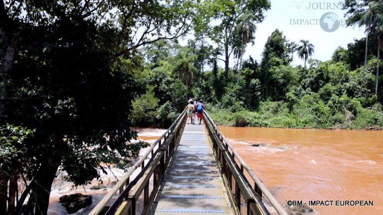 Chutes d'Iguazu Argentine 04