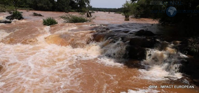 Chutes d'Iguazu Argentine 12