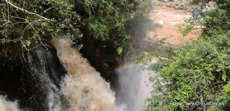 Chutes d'Iguazu Argentine 14