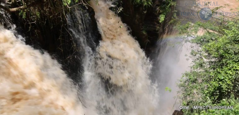 Chutes d'Iguazu Argentine 15