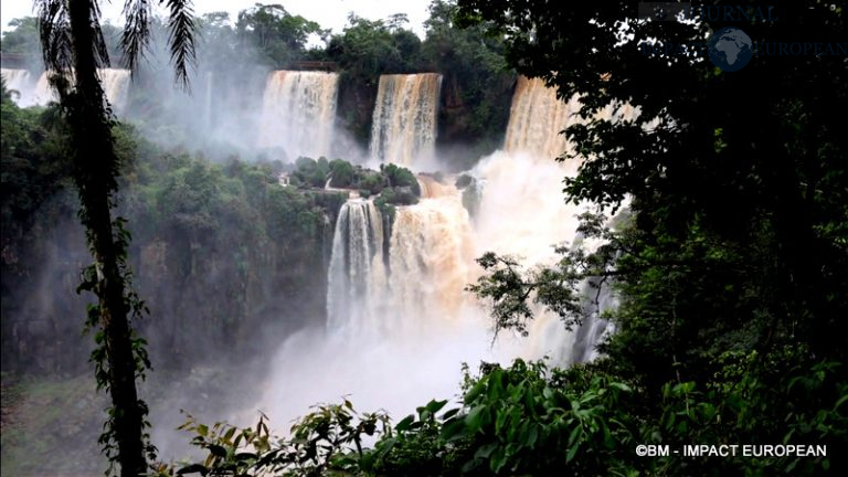 Chutes d'Iguazu Argentine 23