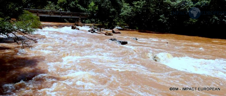 Chutes d'Iguazu Argentine 33