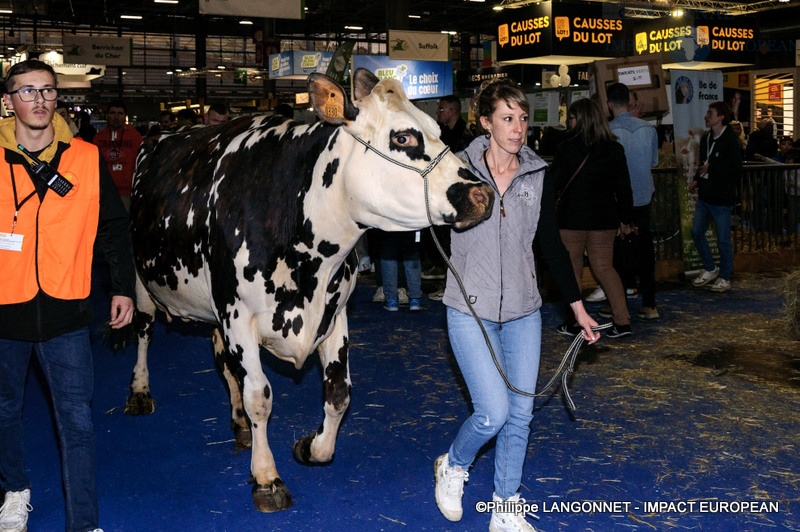 Photographie de Philippe Langonnet