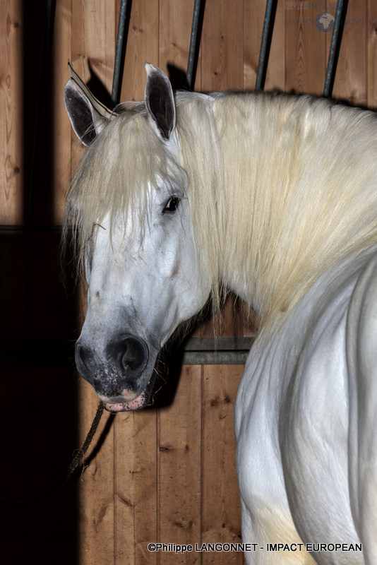 Photographie de Philippe Langonnet