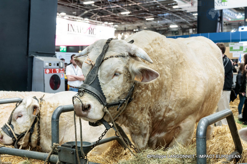 Photographie de Philippe Langonnet