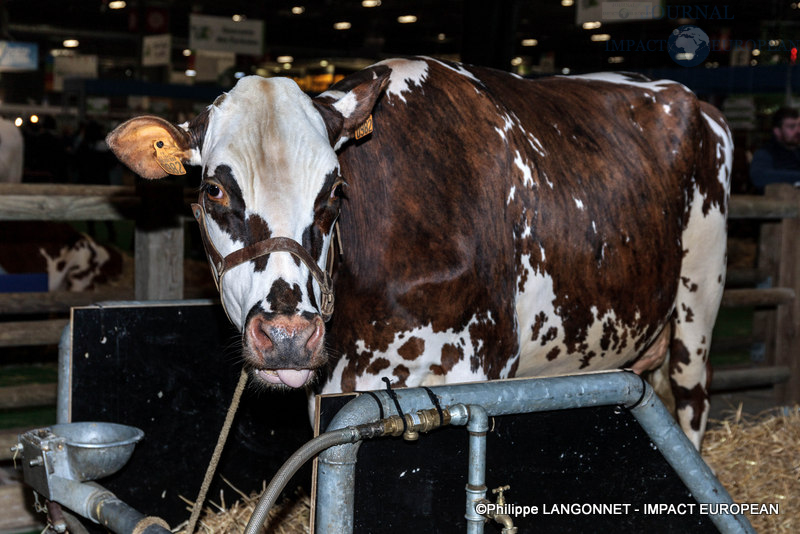 Photographie de Philippe Langonnet