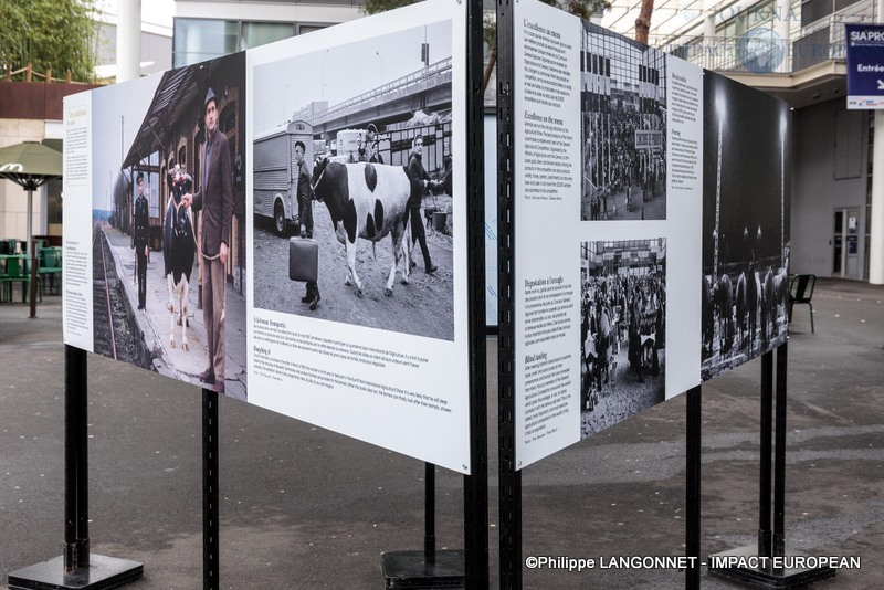 Photographie de Philippe Langonnet