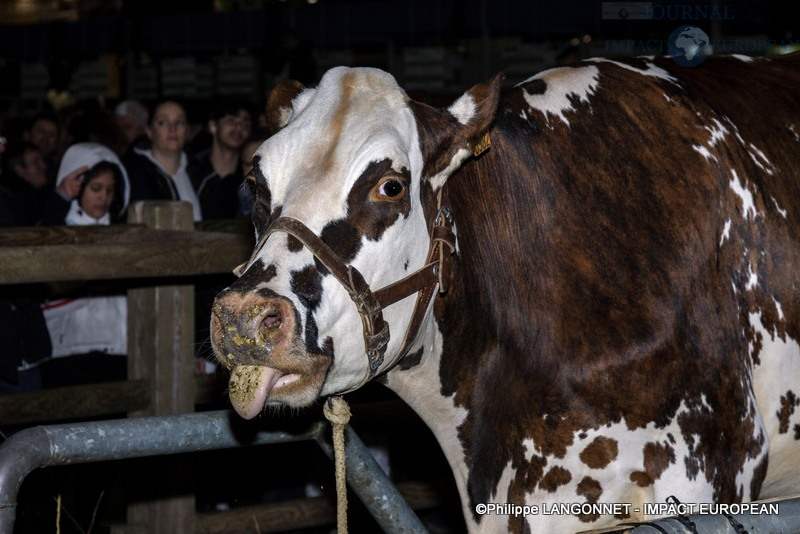 Vache star du salon international de l'agriculture de Paris, Oreillette