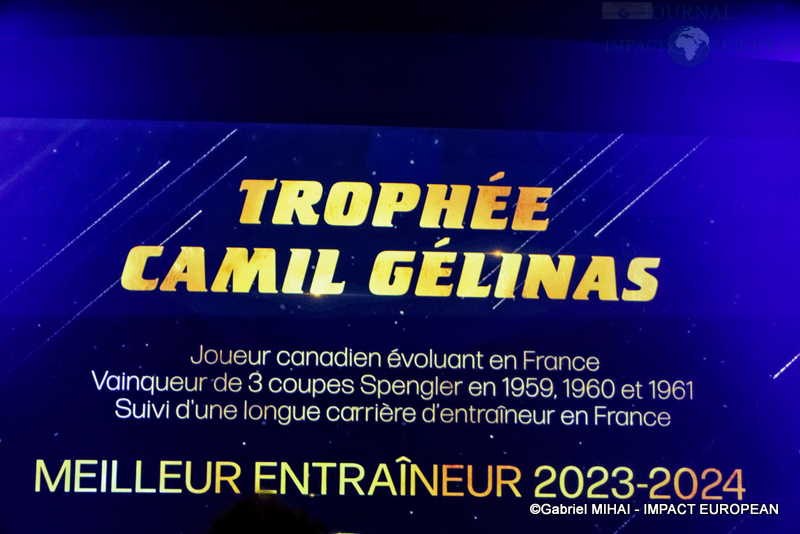 IMG_8482Trophée-hockey sur glace