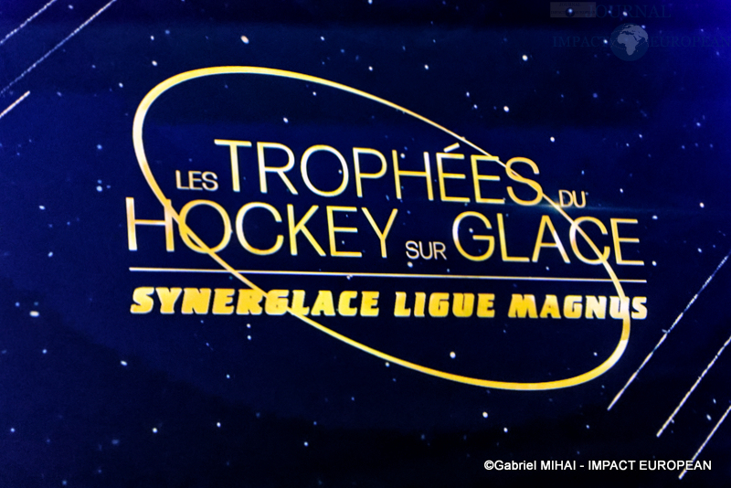 IMG_8576Trophée-hockey sur glace