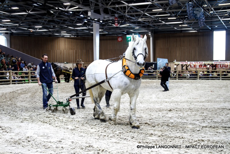 Photographie de Philippe Langonnet