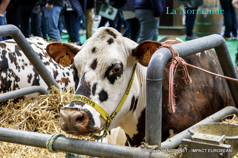 Photographie de Philippe Langonnet