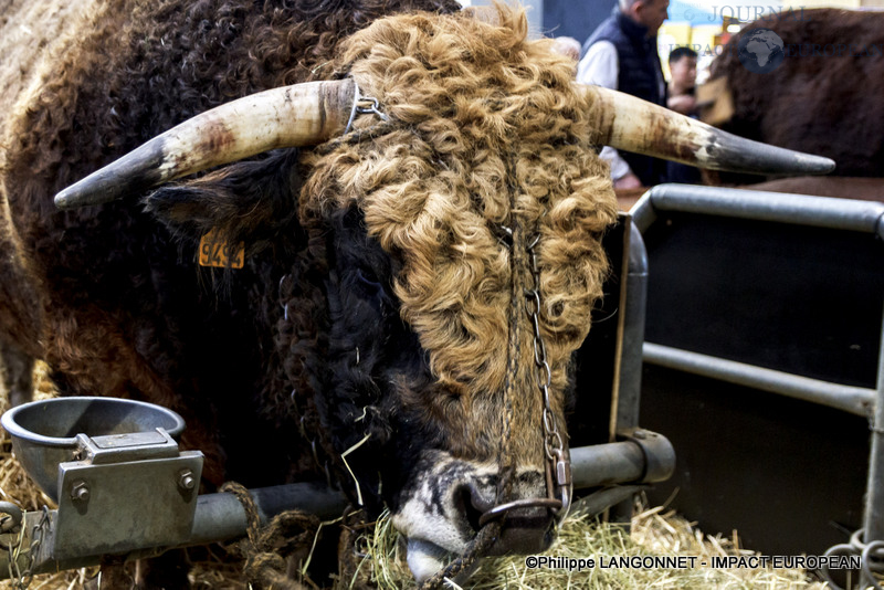 Photographie de Philippe Langonnet