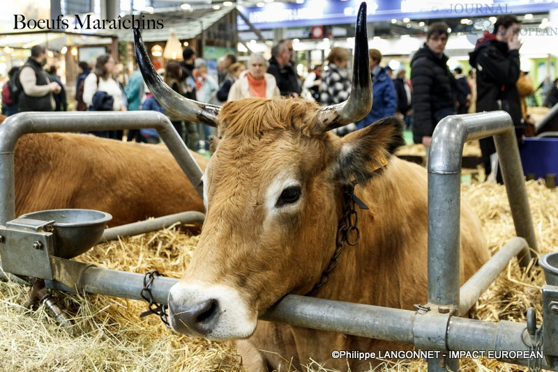 Photographie de Philippe Langonnet