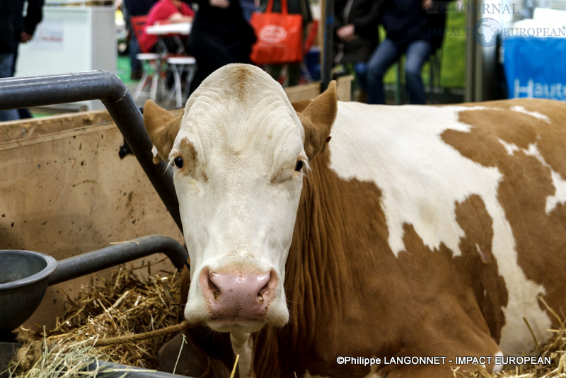 Photographie de Philippe Langonnet