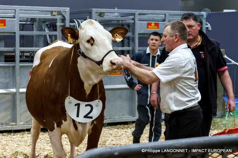 Photographie de Philippe Langonnet